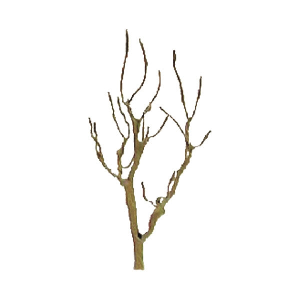 JTT 94106 mountain gum tree armatures — manufacturer's bare-frame detail; full pack not shown