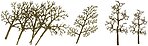 JTT 94128 Sycamore 3 to 4 inch armature 16 pack