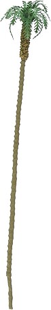 JTT Professional Palm Trees – 6 in – 2 Pack – 94240