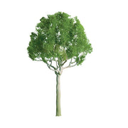 JTT Roundhead Trees 3 in 2-Pack