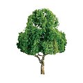 JTT 94296 Deciduous 1 inch Pro 6 pack