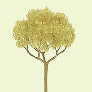 JTT Basswood Roundhead Trees 2 in 4-Pack