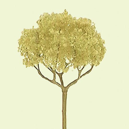 JTT Basswood Roundhead Trees 2 in 4-Pack