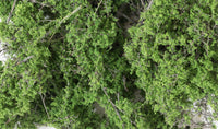 Woodland Scenics F1131 Fine-Leaf Foliage Medium Green, manufacturer product image