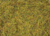 WWScenics WSG6058 official product photograph