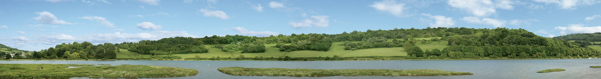 PECO SK-P01 River Valley panoramic photographic backscene