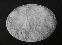 Pegasus 9021 included unpainted cave-style display base