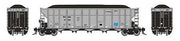 Rapido HO Scale PGNX AutoFlood Car – Single Car – 169018A