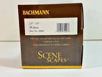 Bachmann Walnut Trees 2.5–3.5 Inches, 3 Pack — additional product view 2