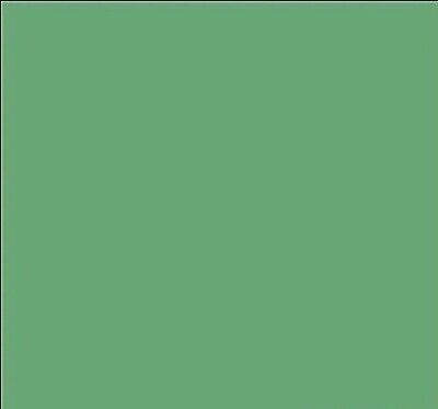 Tru-Color Paint 1036 Military Acrylic Color, 5-HG Haze Green 1943 US Navy (1oz) — exact product reference