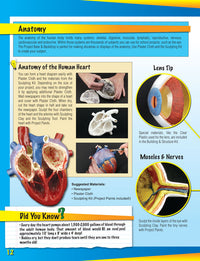 Scene-A-Rama SP4170 Project Book manufacturer preview of anatomy project ideas, page 12