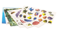 Scene-A-Rama SP4242 Ocean Kit, printed cutout sheets with sea creatures, coral and terrain