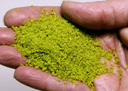 Scenic Express 6113 Light Green SuperLeaf, 24 oz Eco Pak; manufacturer leaf-flake sample in hand, package not shown.