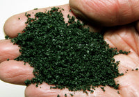 Scenic Express 6163 Dark Green SuperLeaf, 24 oz Eco Pak; manufacturer leaf-flake sample in hand, package not shown.