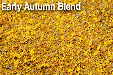 Scenic Express 870E Early Autumn Blend, 48 oz Eco Pak; manufacturer ground-cover texture detail, package not shown.