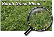 Scenic Express 882E Scrub Grass Blend, 48 oz Eco Pak; manufacturer ground-cover texture detail; package not shown.