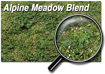 Scenic Express 884E Alpine Meadow Blend, 48 oz Eco Pak; manufacturer ground-cover texture detail; package not shown.