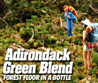 Scenic Express 897E Green Adirondack Blend, 48 oz Eco Pak; manufacturer scenery example; figures and scenery props not included.