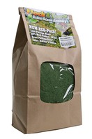 Scenic-Expr F&T Grass Grn Fine 48oz — exact Scenic Express product image