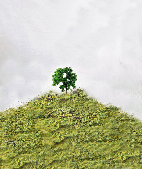 Rock Island Hobby 024100 Deciduous Trees, 2.75" (6-Pack) — exact product view