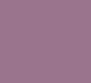 Tru-Color Paint RN:PINK – TCP1052 — exact product reference