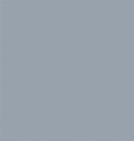 Tru-Color RN-G45 1942+ 1oz — exact product view