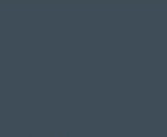 Tru-Color RN-507A Dark Grey 1oz — exact product view