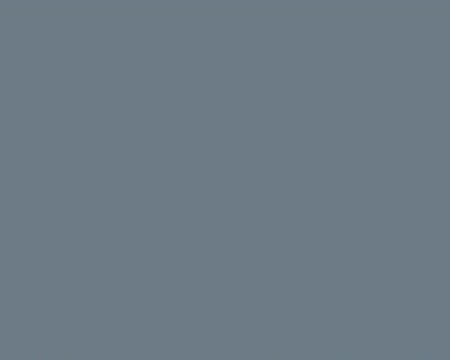 Tru-Color Paint MEDIUM GREY RN-507B – TCP1067 — exact product reference