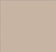Tru-Color IJN Deck Tan 1oz — exact Tru-Color Paint product image