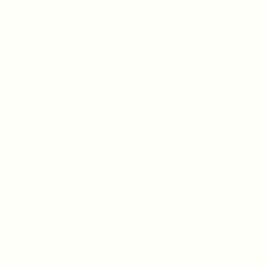 Tru-Color Paint FS INSIGNIA WHITE 1 OZ – TCP1201 — exact product reference