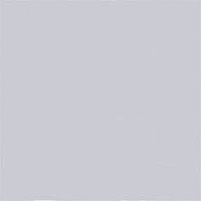 Tru-Color Paint FS LT COMPASS GRAY 1 OZ – TCP1202 — exact product reference
