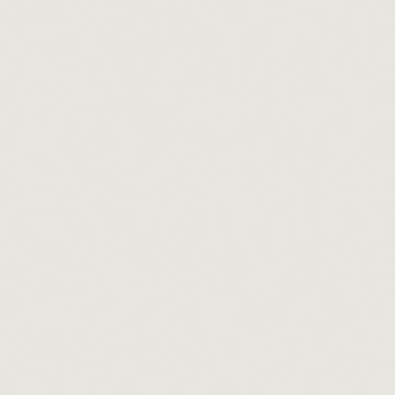 Tru-Color Paint FS-36440 LIGHT GULL GRAY – TCP1204 — exact product reference