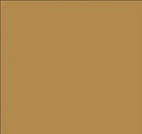 FS-33448 Desert Dark Yellow 1oz - product image