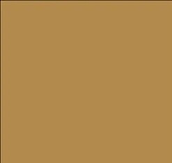 FS-33448 Desert Dark Yellow 1oz - product image