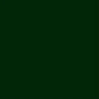 Tru-Color Paint FS-34052 USMC GREEN – TCP1422 — exact product reference