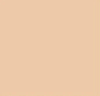 FS-30279 Desert Sand 1oz - product image