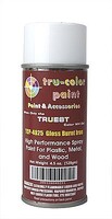 Tru-Color Gloss Burnt Iron Spray 4.5oz — exact product view