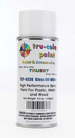 Tru-Color Gloss Off-White Spray 4.5oz — exact product view