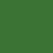 Tru-Color Paint SUBLIME GREEN 1OZ – TCP503 — exact product reference
