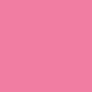 Tru-Color Paint HOT PINK 1OZ – TCP505 — exact product reference