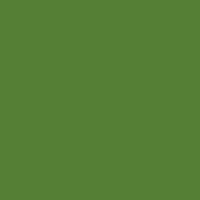 Tru-Color Auto Sassy Grass Green 1oz — exact product view