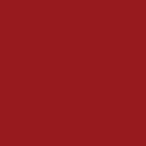 Tru-Color Paint BRIGHT RED 1OZ – TCP543 — exact product reference