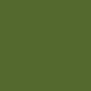 Tru-Color Paint 703 Metallic Lime Green