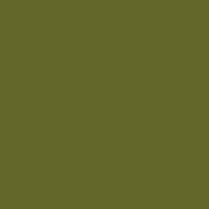 Tru-Color Paint MET LIME GREEN TINTCOAT – TCP751 — exact product reference