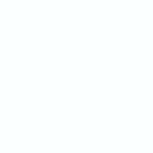 Tru-Color White Flat Brushable Paint – 1 oz – TCP-800
