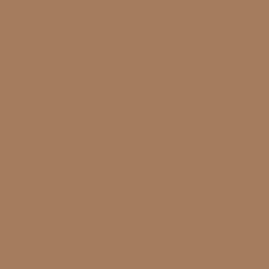Tru-Color Paint FLAT FOUNDATION – TCP833 — exact product reference
