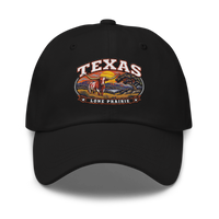 Texas embroidered dad hat in Black