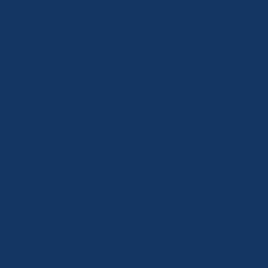 Tru-Color Paint TCP-765 Dark Cloisonne Poly Metallic 1 oz