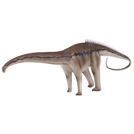 Toyway Natural History Museum Diplodocus & Kentrosaurus 1:40 Dinosaur Model Set– product image