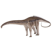 Toyway Natural History Museum Diplodocus & Kentrosaurus 1:40 Dinosaur Model Set– product image 1